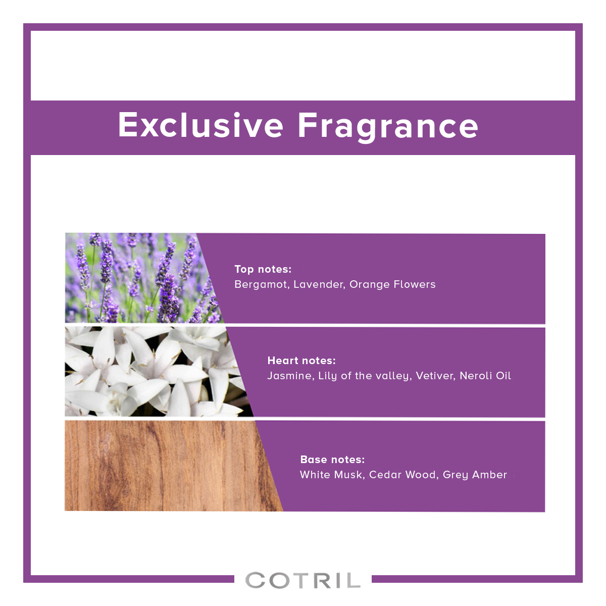 Cotril Timeless Shampoo 300 ML - Image 5